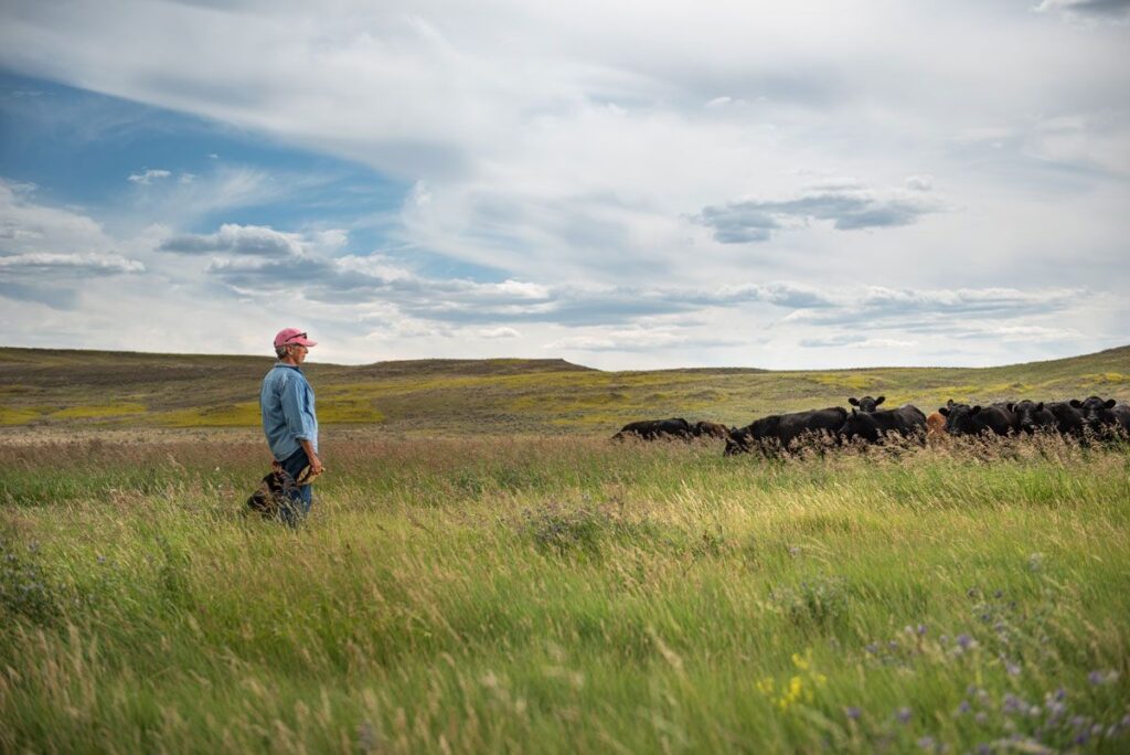 IM2020_SOVRN_FrenchRanch89