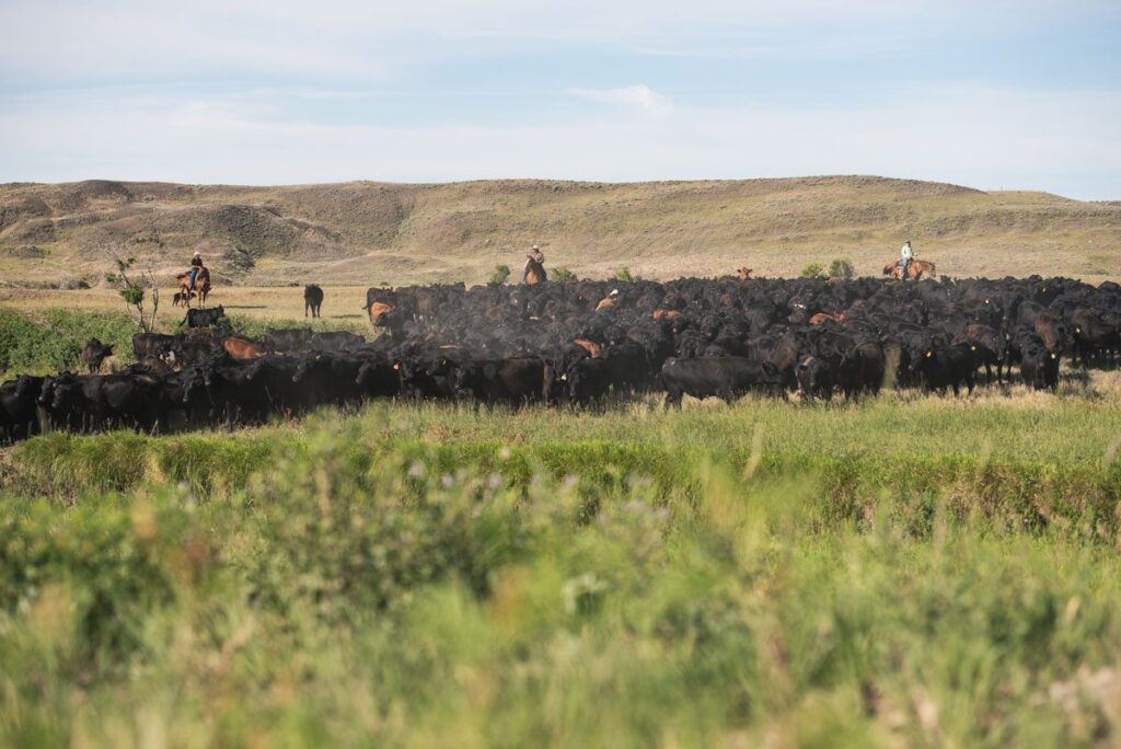 IM2020_SOVRN_FrenchRanch49